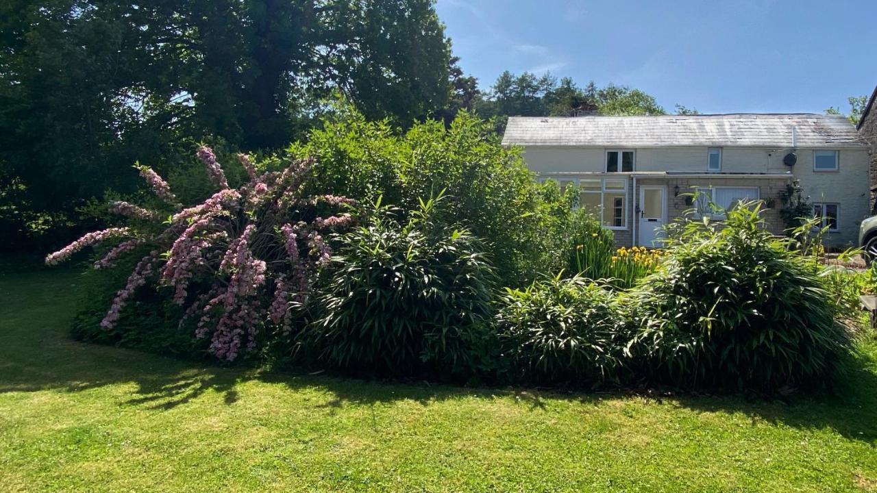 Silhouette Cottage Coleford (Gloucestershire) Exterior foto