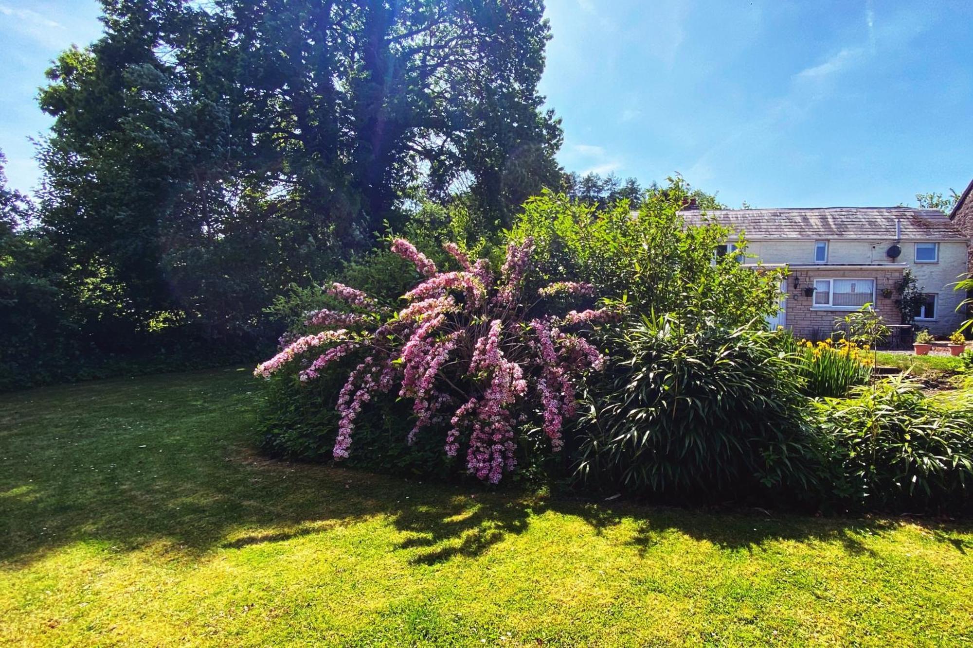Silhouette Cottage Coleford (Gloucestershire) Exterior foto